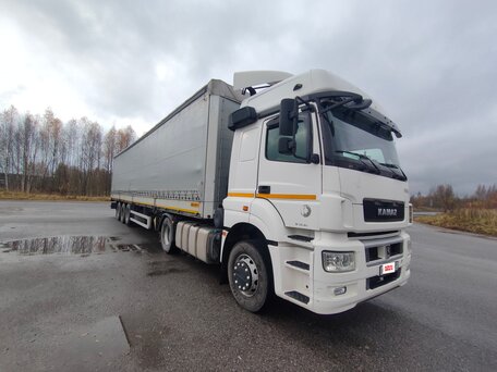 2017 КамАЗ 5490 NEO, белый, 4000000 рублей, вид 1