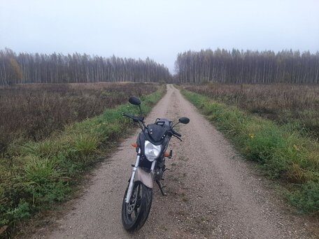 2024 Motoland Bandit 300, коричневый, 75000 рублей, вид 1