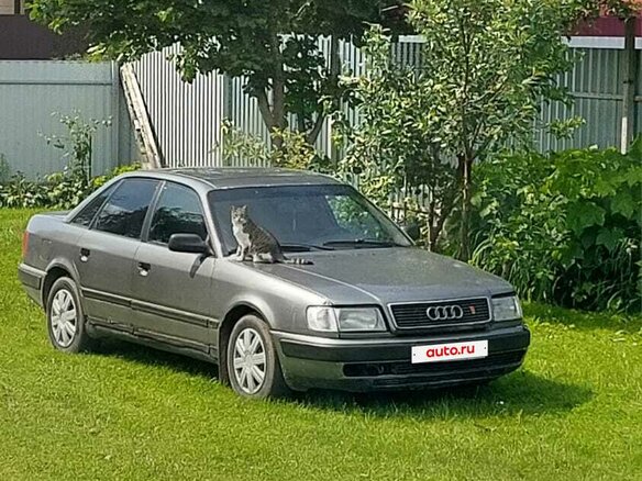 1992 Audi 100 IV (C4), серый, 130000 рублей - вид 3
