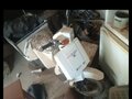 2003 Honda Gyro, белый, 40000 рублей