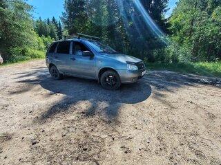 2009 Lada (ВАЗ) Kalina I, серый, 220000 рублей, вид 5