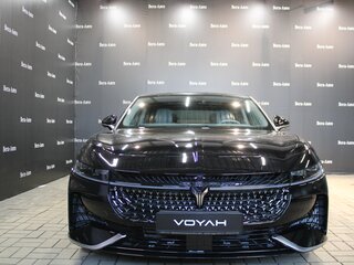2026 Voyah Passion EVR I, чёрный, 6215000 рублей, вид 5