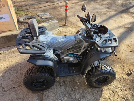 2025 Promax ATV 250, чёрный, 120000 рублей, вид 3