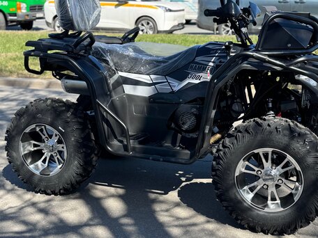 2026 Другие ATV (другие), чёрный, 270000 рублей, вид 2