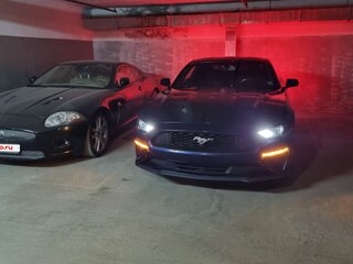 2019 Ford Mustang VI Рестайлинг, синий, 3185000 рублей, вид 5