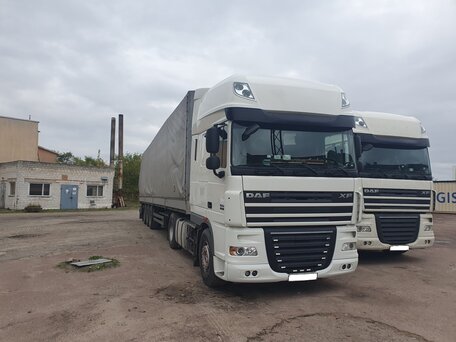 2011 DAF XF 105, белый, 4900000 рублей, вид 5