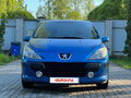 2007 Peugeot 307 I Рестайлинг, синий, 300000 рублей - вид 5
