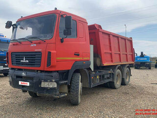 2021 МАЗ 6501, красный, 2129140 рублей, вид 1