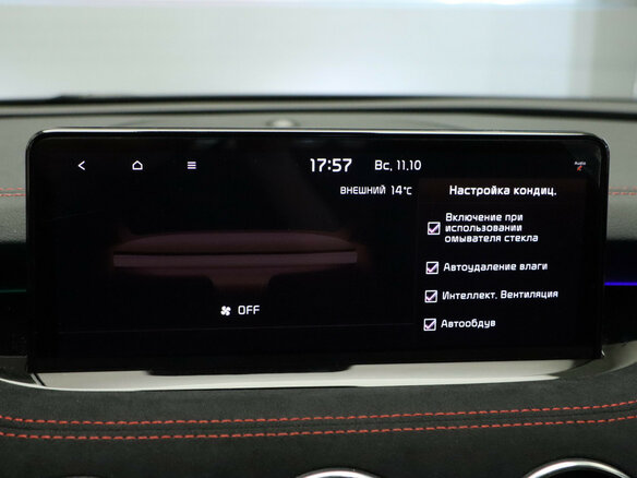 2021 Kia Stinger I Рестайлинг, чёрный, 3175000 рублей - вид 22