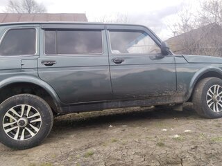 2009 Lada (ВАЗ) 2131 (4x4) Рысь I, серый, 378000 рублей, вид 4