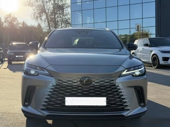 2025 Lexus RX 300 V, серый