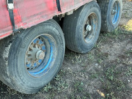 1998 SDC Trailers SDC, красный, 300000 рублей, вид 5
