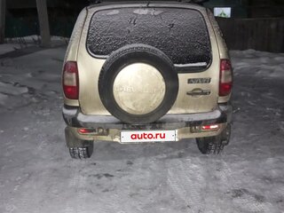 2004 Chevrolet Niva I, бежевый, 340000 рублей, вид 3