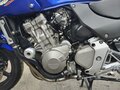 2004 Honda CB 600F Hornet, синий, 340000 рублей - вид 9