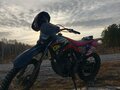 2024 Irbis TTR 250, чёрный, 120000 рублей