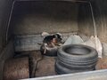 2001 LADA (ВАЗ) ВИС 2345, зелёный, 80000 рублей - вид 3