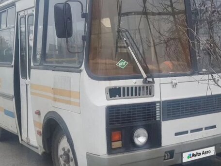 2010 ПАЗ 3205, белый, 350000 рублей, вид 2
