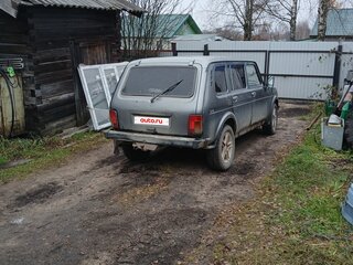 2004 Lada (ВАЗ) 2131 (4x4) Бронто-213102 I, серый, 200000 рублей, вид 2