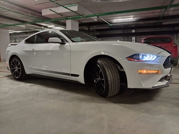 2022 Ford Mustang VI Рестайлинг, белый, 3795000 рублей - вид 10
