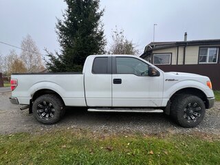 2009 Ford F-150 XII, белый, 2620000 рублей, вид 5