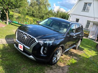 2020 Hyundai Palisade I, синий, 2950000 рублей, вид 2
