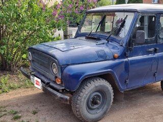 2003 УАЗ 31519, синий, 250000 рублей, вид 1