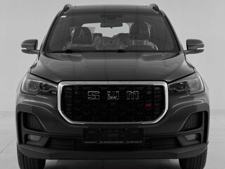 2024 SWM G05 Pro, серый, 1859000 рублей, вид 2
