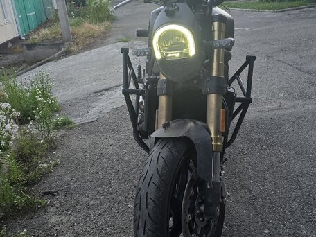 2023 Benelli Leoncino 800, чёрный, 599999 рублей, вид 3