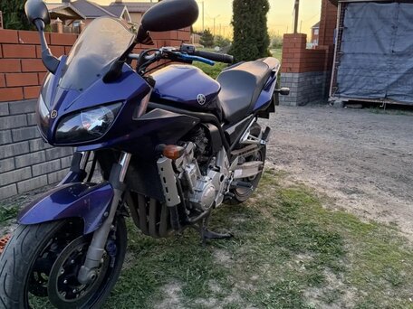 2005 Yamaha FZS1000 Fazer, синий, 350000 рублей, вид 3