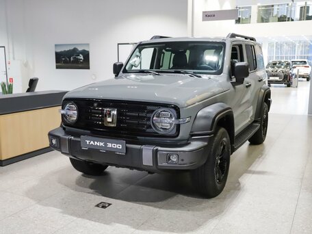 Tank 300 I