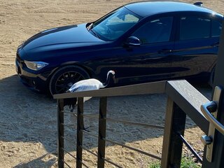 2014 BMW 3 серии 320i VI (F3x), синий, 1850000 рублей, вид 4