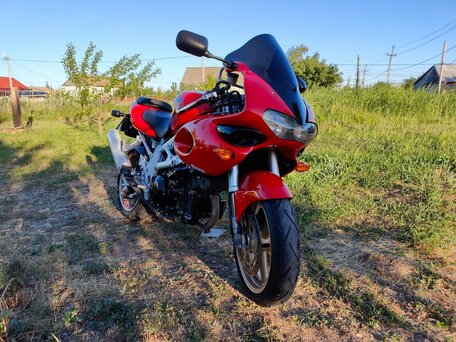 1998 Suzuki TL 1000, красный, 380000 рублей, вид 4