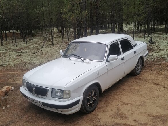 2001 ГАЗ 3110 «Волга», белый, 180000 рублей