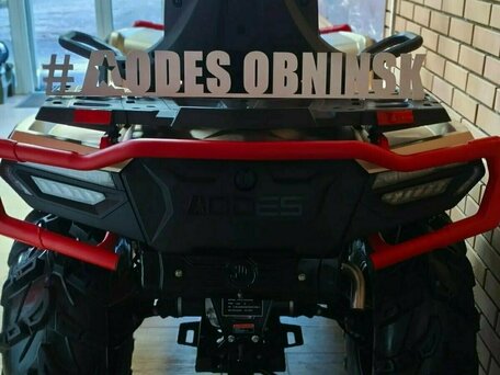 2026 AODES (Odes) Pathcross 1000 Mud Pro, красный, 1527000 рублей, вид 3
