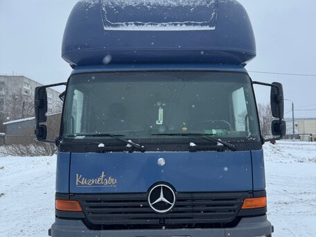 2003 Mercedes-Benz Atego, синий, 2700000 рублей, вид 2