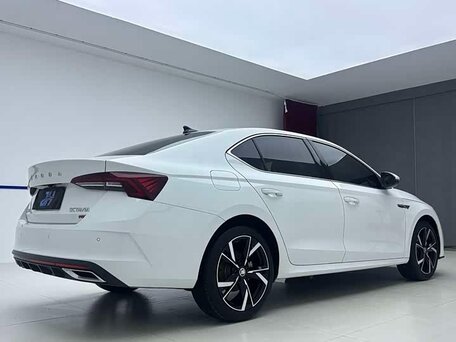 2023 Skoda Octavia IV (A8), белый, 1554000 рублей, вид 5
