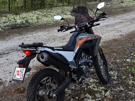 2021 Honda CRF 250L, серый, 630000 рублей, вид 2