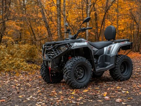 2026 Loncin XWolf 300 Max, серый, 485000 рублей, вид 1