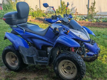 2008 AIE Motor MagMax, синий, 130000 рублей, вид 3