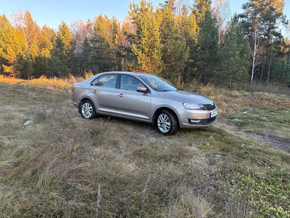 2017 Skoda Rapid I Рестайлинг, бежевый, 1190000 рублей - вид 5