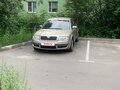 2004 Skoda Superb I, бежевый, 420000 рублей - вид 8