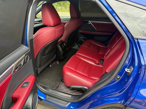 2018 Lexus RX 300 IV, синий, 3650000 рублей - вид 26