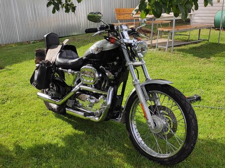 2003 Harley-Davidson Sportster 1200, серебристый, 800000 рублей, вид 4