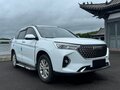 2022 Haval M6 Plus II, белый
