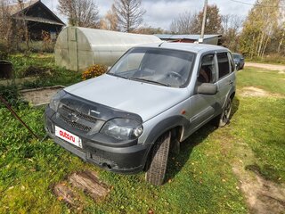 2008 Chevrolet Niva I, серебристый, 300000 рублей, вид 2