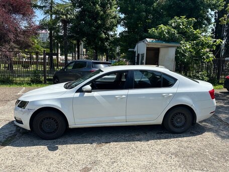 2019 Skoda Octavia III (A7) Рестайлинг, белый, 521000 рублей, вид 4