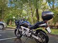 2005 Yamaha FZ6, чёрный, 470000 рублей - вид 2