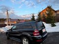 2006 Mercedes-Benz GL-Класс 450 I (X164), коричневый - вид 6