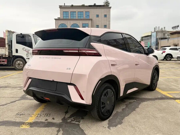 2024 BYD Seagull 30.08 kWh I, розовый - вид 4