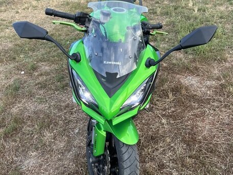 2017 Kawasaki 100, зелёный, 865000 рублей, вид 4